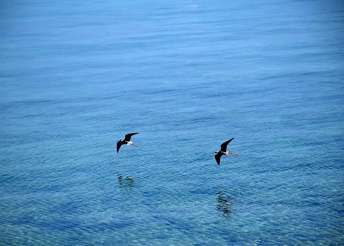 Ferienhaus Corinthian Sun - Vacation Korinth